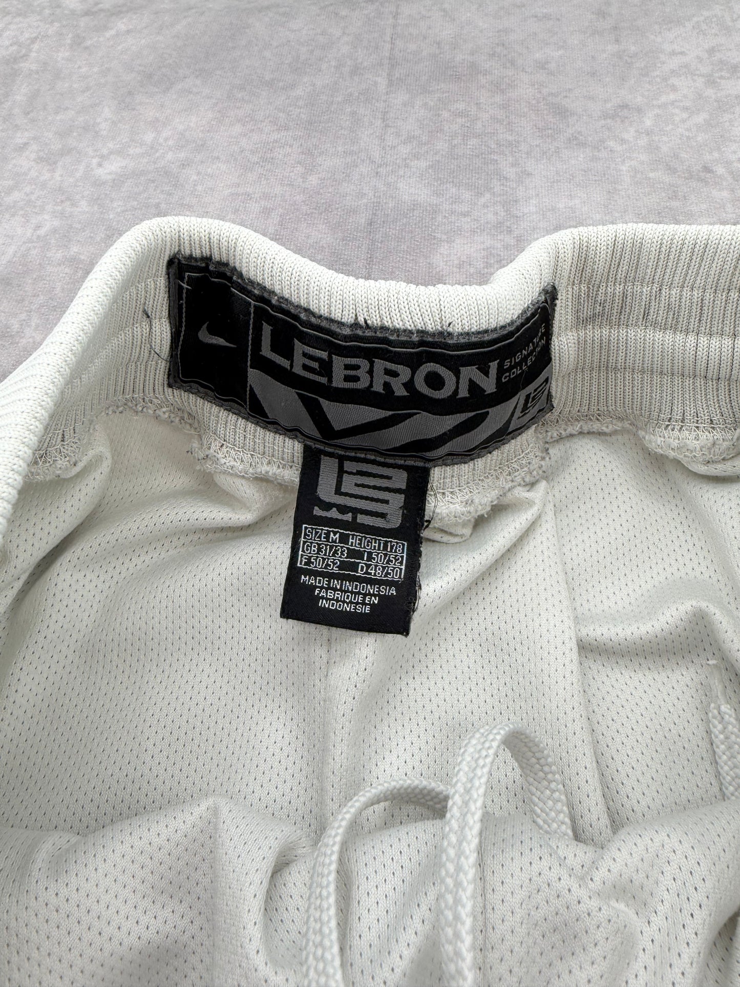Lebron Nike Shorts - M