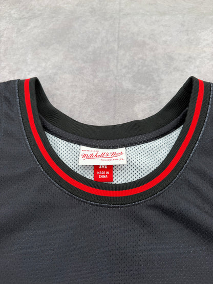 Toronto Raptors Jersey - M