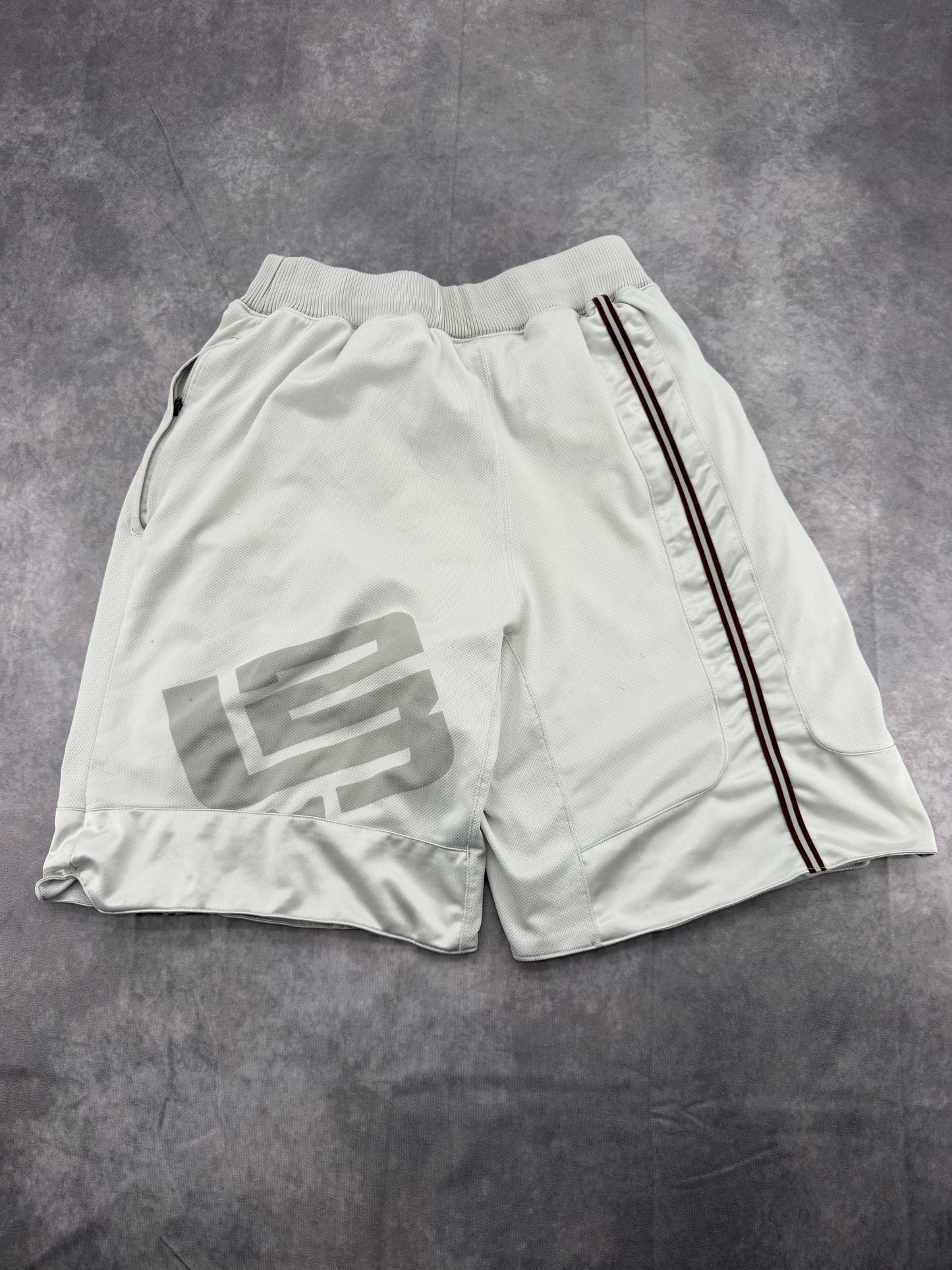Lebron Nike Shorts - M