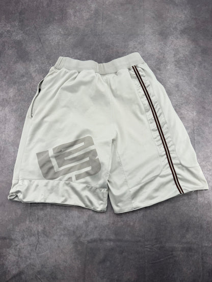 Lebron Nike Shorts - M
